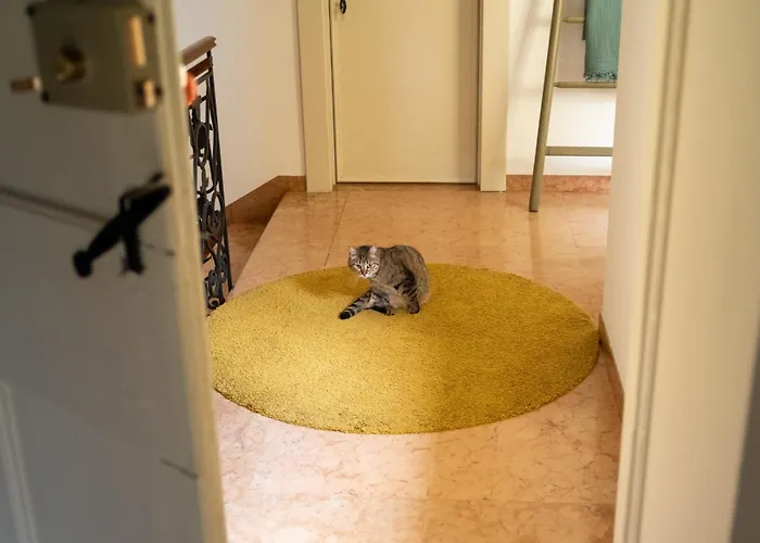 Nocleg ze śniadaniem Le 33 3*