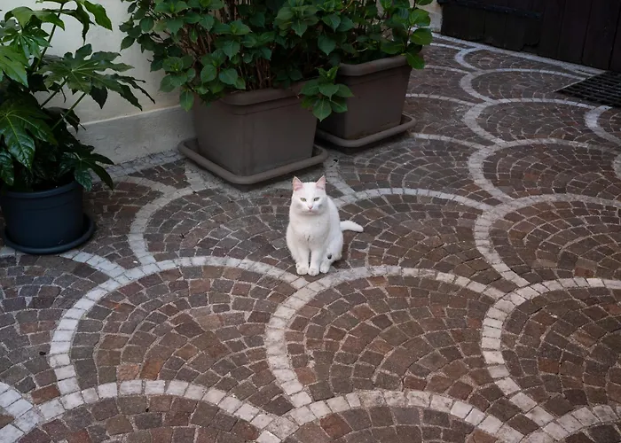 Le 33 Nocleg ze śniadaniem