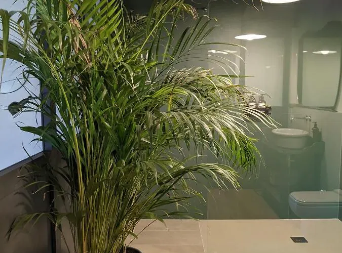 Le 33 Oda ve Kahvaltı Bassano del Grappa